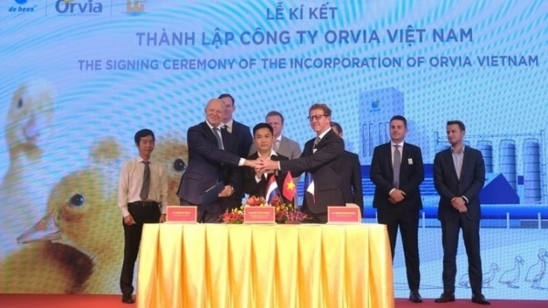 De Heus, Orvia, and Lan Chi established a high-quality duck breed company, Orvia Vietnam